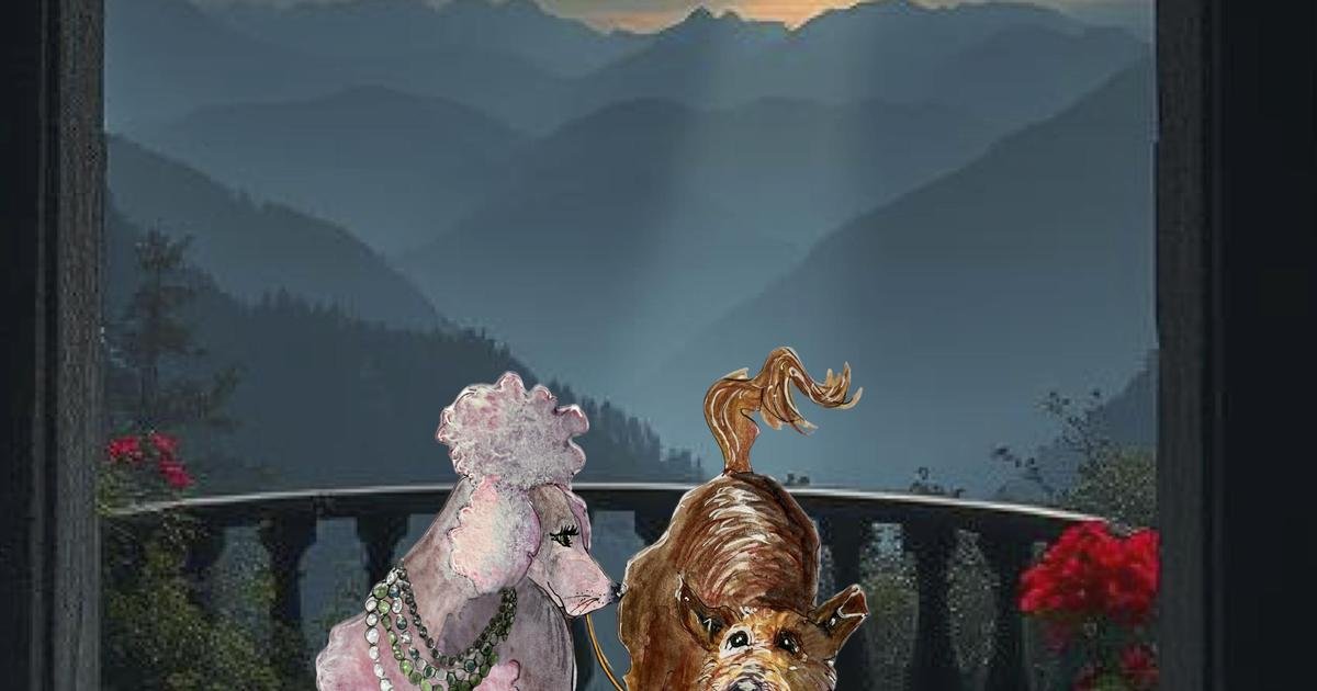 Lady en de Vage Hond (4+) - Het Kleine Theater