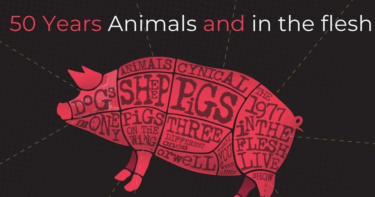 Pink Floyd Project - 50 years of Animals & In The Flesh 1977