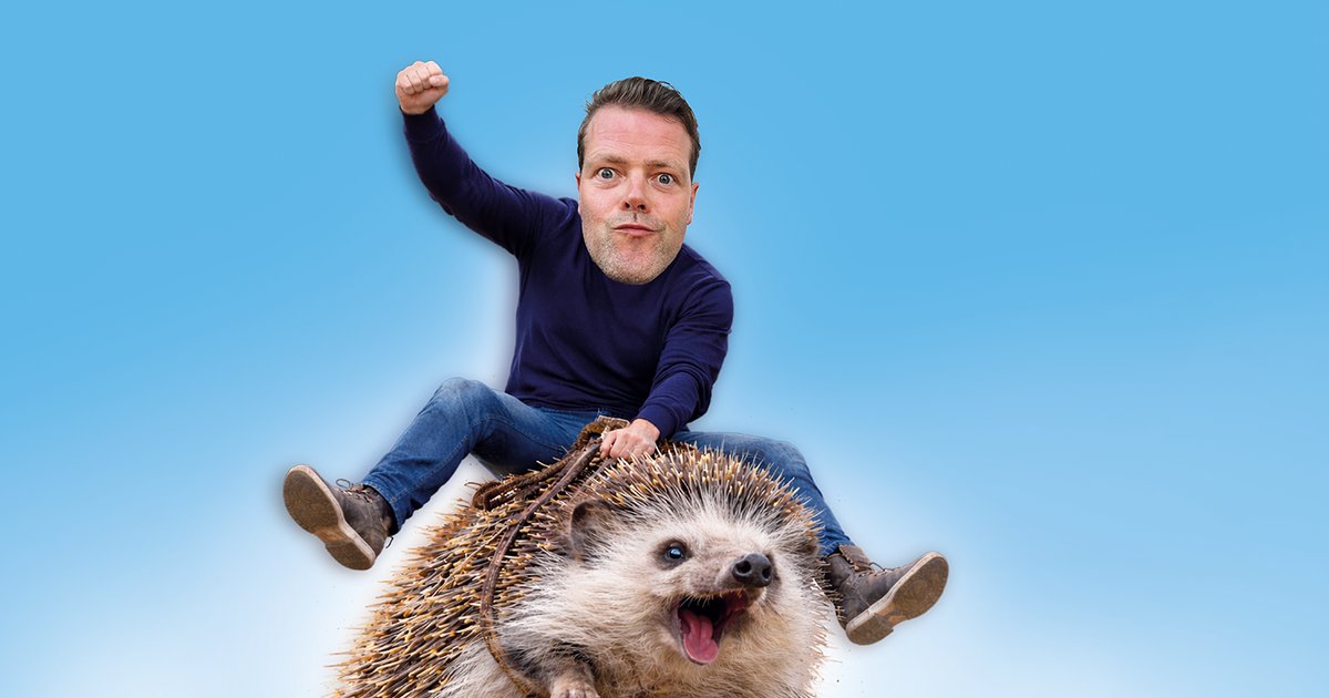 Martijn Koning - Overprikkeld