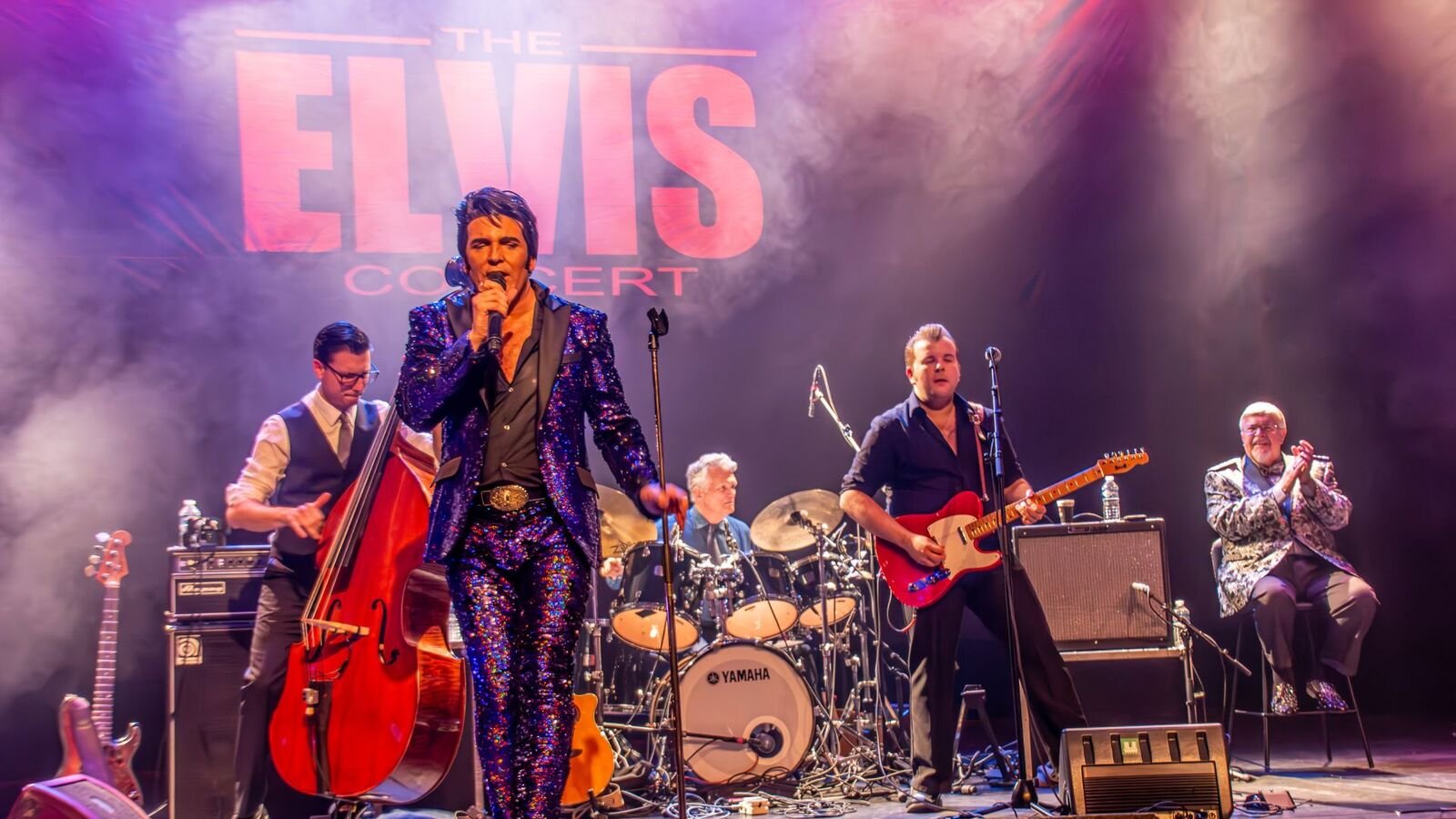 The Elvis Concert